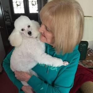 Meet your Posher, Carol